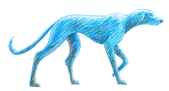Dog animation